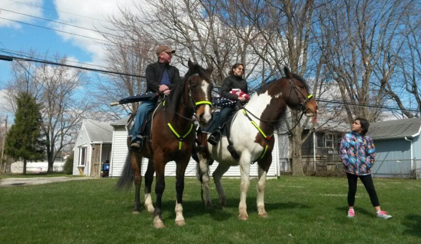 KPD horses